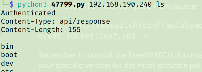 command execution