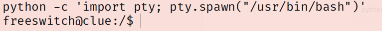 tty shell