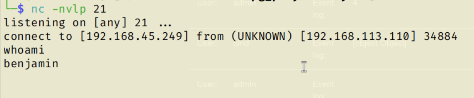 alt text